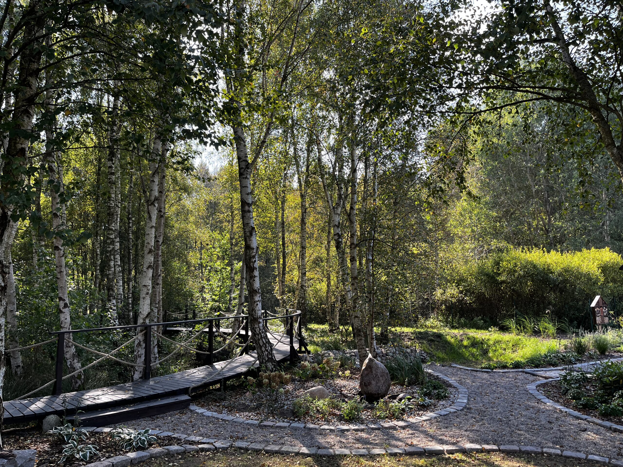 „Lasosfera – przestrzeń świadomego relaksu” to miejsce stworzone w nurcie slow tourism