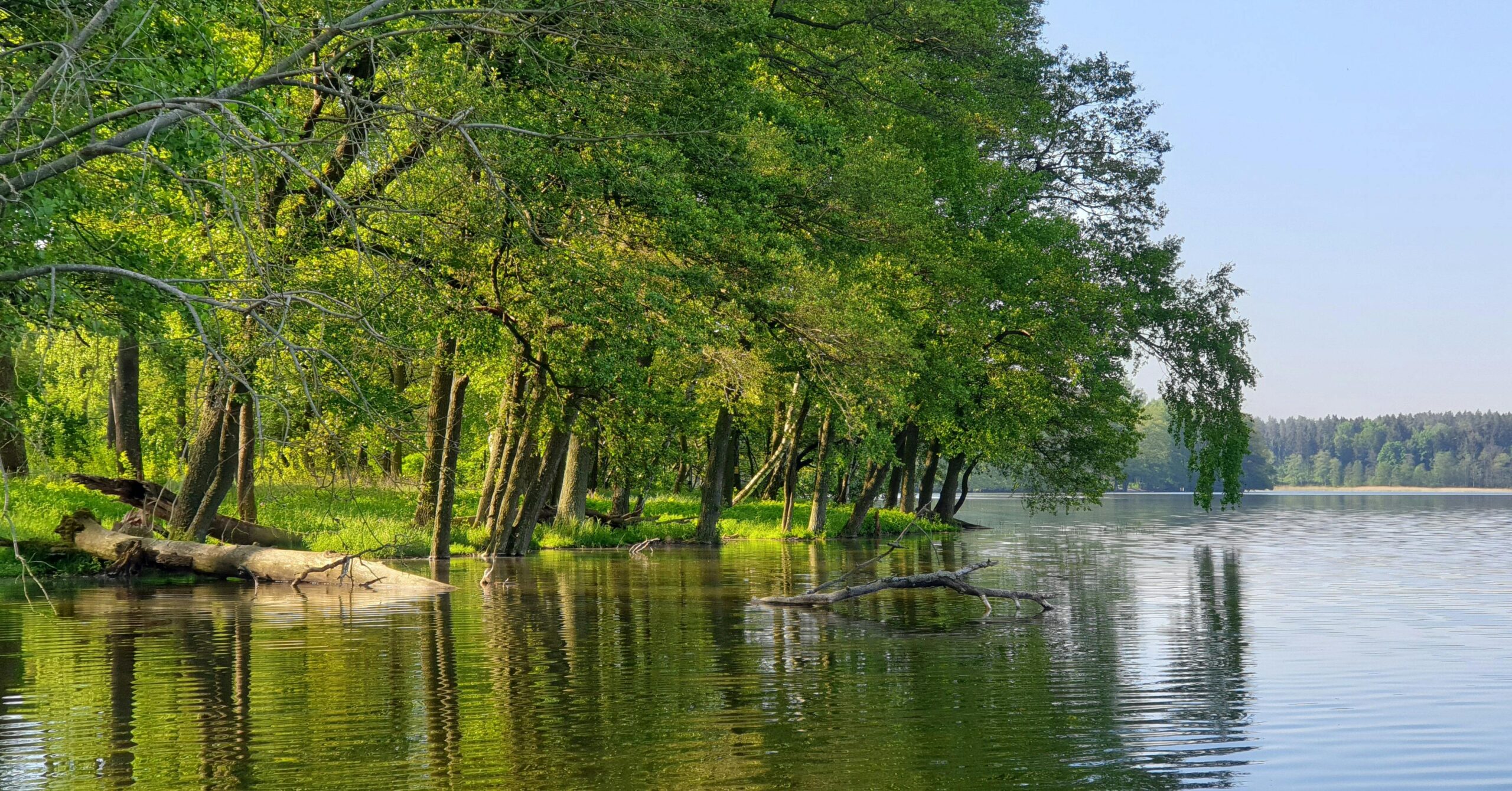 Lista ocenionych wniosków w ramach inwestycji B3.3.1 – KPO