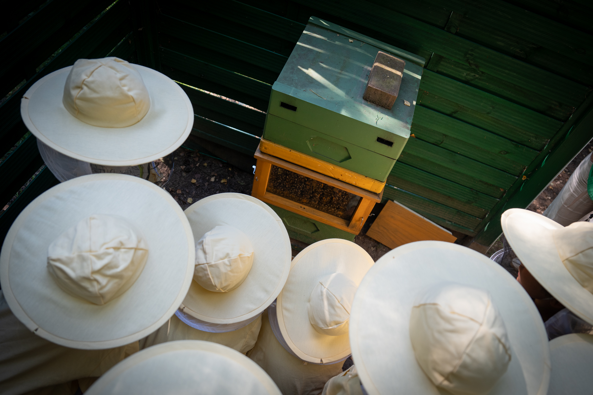 Rodzinne warsztaty pszczelarskie z Pomorską Izbą Regionalną